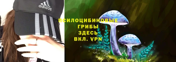 эйфоретик Красноперекопск