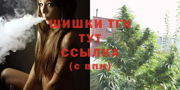 винт Краснослободск