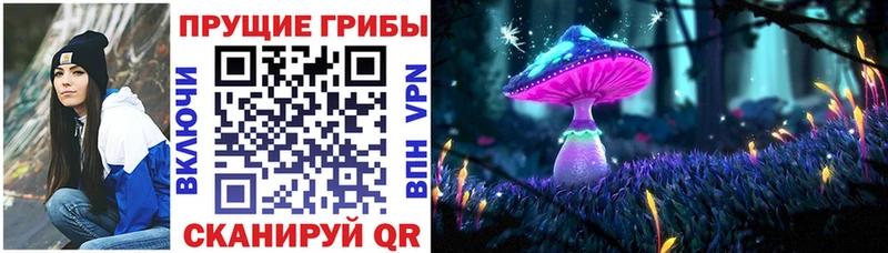 дарнет шоп  Мурманск  Галлюциногенные грибы Magic Shrooms 