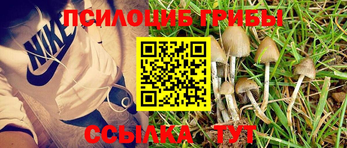 Галлюциногенные грибы мухоморы  Псилоцибиновые грибы Psilocybe  Вход с VPN  Мурманск 