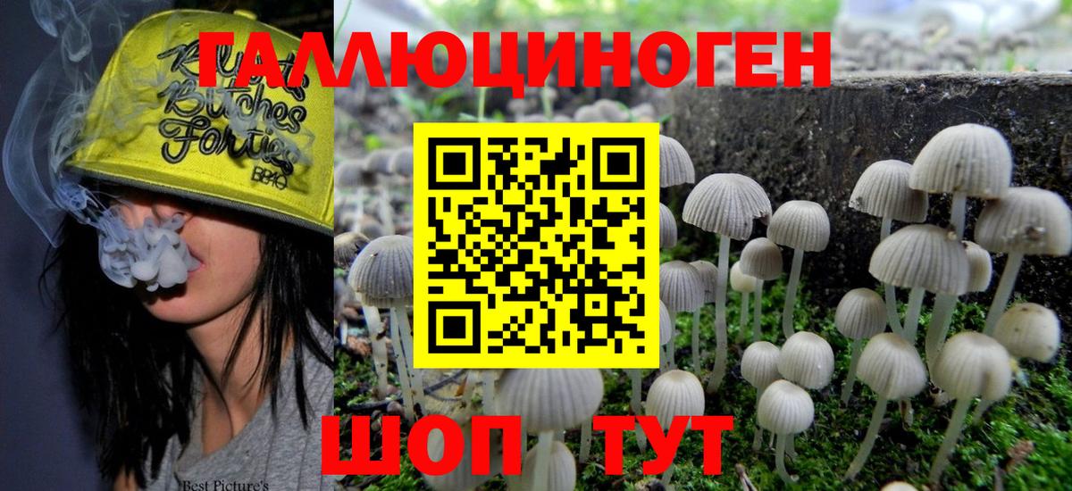 Галлюциногенные грибы мухоморы Мурманск